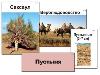 Модель-аппликация "Природные зоны России" - «globural.ru» - Барнаул