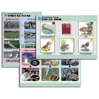 Комплект таблиц для  начальной школы "Окружающий мир. Экология" - «globural.ru» - Барнаул