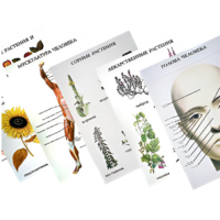 Таблицы по природоведению 1-3 класс - «globural.ru» - Барнаул