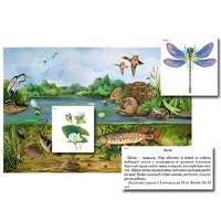 Магнитный плакат-аппликация "Водоем: биоразнообразие и взаимосвязи в сообществе" - «globural.ru» - Барнаул