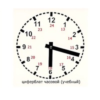 Часовой циферблат раздаточный - «globural.ru» - Барнаул
