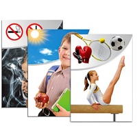 Модель-аппликация "Здоровье человека" - «globural.ru» - Барнаул