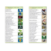 Комплект карточек (10) "Обучающий калейдоскоп. Природа" - «globural.ru» - Барнаул