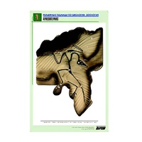 Рельефная таблица "Археоптерикс" (формат А1, матовое ламинир.) - «globural.ru» - Барнаул