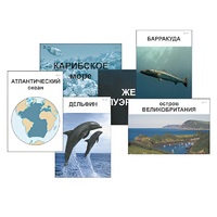 Модель-аппликация "Океаны. Знакомство" (ламинированная) - «globural.ru» - Барнаул