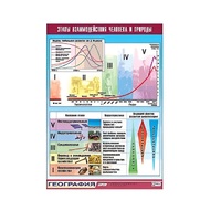Таблица демонстрационная "Этапы взаимодействия человека и природы" (винил 70x100) - «globural.ru» - Барнаул