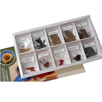 Коллекция "Плоды сельскохозяйственных растений" (вариант 2) - «globural.ru» - Барнаул