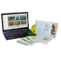 Гербарий натурально-интерактивный "Лекарственные растения" - «globural.ru» - Барнаул