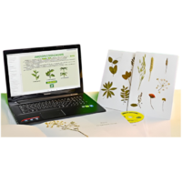 Гербарий натурально-интерактивный "Морфология растений" - «globural.ru» - Барнаул