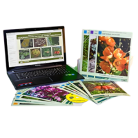 Гербарий натурально-интерактивный "Основные группы растений. Грибы. Лишайники" - «globural.ru» - Барнаул