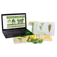 Гербарий натурально-интерактивный "Растительные сообщества. Лес" - «globural.ru» - Барнаул