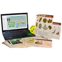 Гербарий натурально-интерактивный к курсу основ общей биологии - «globural.ru» - Барнаул