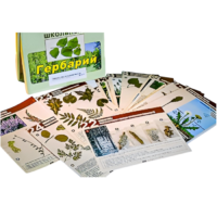 Гербарий к курсу основ общей биологии - «globural.ru» - Барнаул