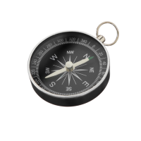 Компас (вариант 1) - «globural.ru» - Барнаул