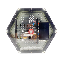 Модуль интерактивный с искусственным интеллектом "Интеллектуальная биология" - «globural.ru» - Барнаул