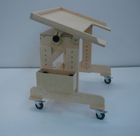 Столик на колесиках для детей с ограниченными возможностями - «globural.ru» - Барнаул