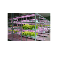 Обучающий комплект "АГРОкласс" - «globural.ru» - Барнаул