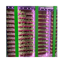 Вертикальная ферма "Моя Микрозелень" комплектация Школьная - «globural.ru» - Барнаул