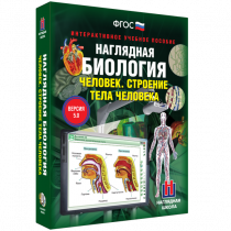 Наглядная биология. Человек. Строение тела человека - «globural.ru» - Барнаул