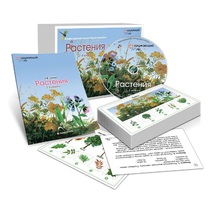 Комбинированное наглядное пособие «Растения» - «globural.ru» - Барнаул
