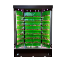 Вертикальная ферма "Моя Микрозелень" комплектация "Театро настольная" - «globural.ru» - Барнаул