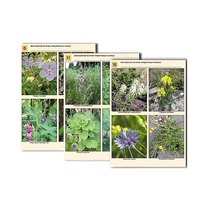 Комплект таблиц по ботанике раздаточных "Многообразие растений. Придорожные и сорные" (16 штук, формат А4, лам) - «globural.ru» - Барнаул