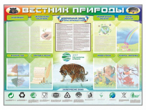 Стенд-уголок "Вестник природы" (вариант 1) - «globural.ru» - Барнаул