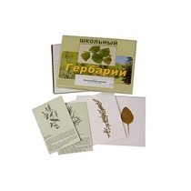 Гербарий "Лекарственные растения" (22 вида, с иллюстрациями) - «globural.ru» - Барнаул
