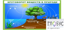 Стенд "Круговорот веществ" - «globural.ru» - Барнаул