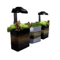 Учебная установка "Аквапоника"  - «globural.ru» - Барнаул