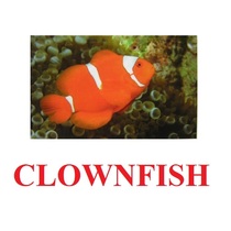 "Fish" ("Рыбы") английские карточки Домана - «globural.ru» - Барнаул
