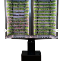 Вертикальная  ферма «Моя микрозелень» комплектация  «Театро настенная» - «globural.ru» - Барнаул