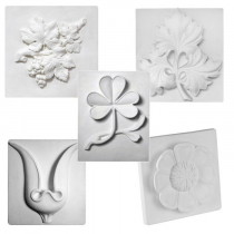 Комплект гипсовых моделей растений  - «globural.ru» - Барнаул