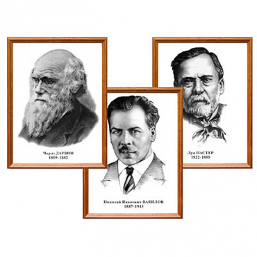 Портреты выдающихся биологов, комплект 8 шт - «globural.ru» - Барнаул