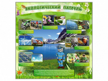 Стенд "Экологический патруль" - «globural.ru» - Барнаул