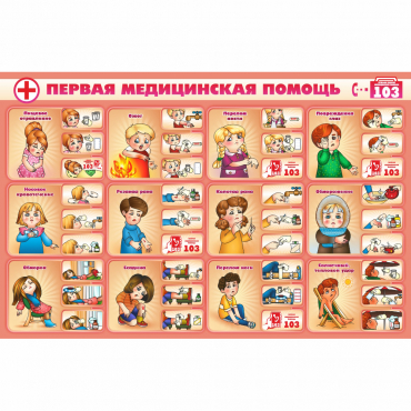 Стенд "Первая помощь" - «globural.ru» - Барнаул