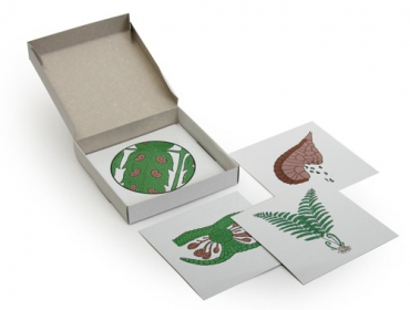 Модель-аппликация Размножение папоротника (набор из 8 карт) - «globural.ru» - Барнаул