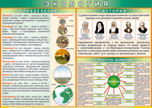 Таблица Определения и история 1000*1400 винил - «globural.ru» - Барнаул