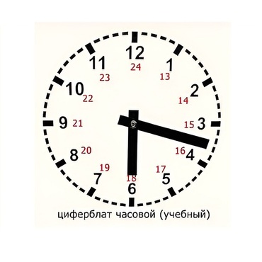 Часовой циферблат раздаточный - «globural.ru» - Барнаул