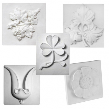 Комплект гипсовых моделей растений  - «globural.ru» - Барнаул